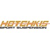 HOTCHKIS PERFORMANCE